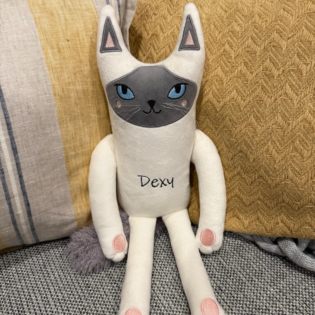 Custom Pet Plush